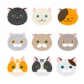 Cat. Set of flat feline head icons. Vector.