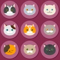 Cat. Set of flat feline head icons. Vector