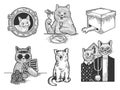 Cat set sketch vector illustration