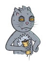 Cat with Shawarma. Vector character.