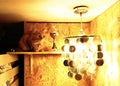 Cat on a shelf of a cupboard next to prize and lamp light Royalty Free Stock Photo