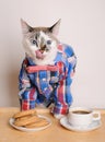 Cat in a shirt and bow tie drinking coffee with cookies and licking Royalty Free Stock Photo