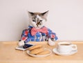 Cat in a shirt and bow tie drinking coffee at work Royalty Free Stock Photo