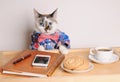 Cat in a shirt and bow tie drinking coffee at work Royalty Free Stock Photo