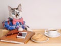 Cat in a shirt and bow tie drinking coffee at work Royalty Free Stock Photo