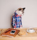 Cat in a shirt and bow tie drinking coffee at work Royalty Free Stock Photo