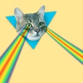 Cat shooting with rainbow lasers from eyes on beige background, creative collage. Stylish poster Royalty Free Stock Photo