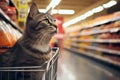curious cat in shopping cart looking at cat food in supermarket