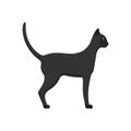 Cat side view vector icon animal cartoon illustration. Black pet isolated tail kitty. Graphic walking flat mammal Royalty Free Stock Photo