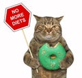 Cat with a sign and a green donut