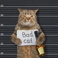 Cat with sign and rum in prison