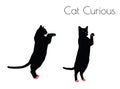 cat silhouette in Curious Pose