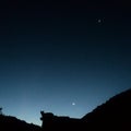 Cat silhouette with hills and trees during the night with a half-moon on the sky