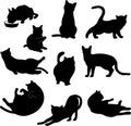 Many of cats silhouette vector