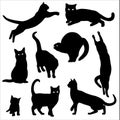 Cat silhouette vector set Isolated On White Background Royalty Free Stock Photo