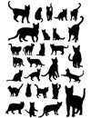 Cat Silhouettes Set Royalty Free Stock Photo