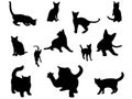 Cat silhouettes set.