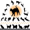 Cat silhouettes set Royalty Free Stock Photo