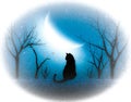 A Cat is sit uder the moon light