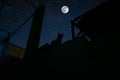 Cat sit on wall in moonlight and looking at full moon. The roof of building cat silhouette at night