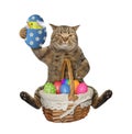 Cat sits with easter eggs Royalty Free Stock Photo