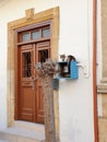 A cat sits on the electricity meter box next to the brown door of a traditional house in old Nicosia, Cyprus Royalty Free Stock Photo