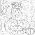 The cat sits on a Halloween pumpkin against the backdrop of the moon.Coloring book antistress for children and adults.