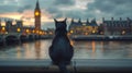 cat sits in London and looks at Big Ben Royalty Free Stock Photo