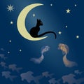 A cat sits on the moon and catches fish Royalty Free Stock Photo