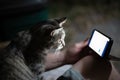 The cat sits in the owner`s arms and looks at the phone screen Royalty Free Stock Photo