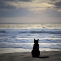A cat is sitting on the beach watching the blue waves. AI-generated. Royalty Free Stock Photo