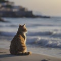 A cat is sitting on the beach watching the blue waves. AI-generated. Royalty Free Stock Photo