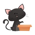 Cat Sitting Beside Cardboard Box Peeping Inside Vector Illustration. Curious Kitty and Carton Box Royalty Free Stock Photo