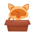 Cat Sitting Inside Cardboard Box Peeping Out Vector Illustration. Curious Kitty and Carton Box