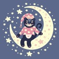 The cat is sitting on the moon. Cute character.