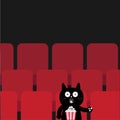 Cat sitting in movie theater eating popcorn. Cute cartoon character. Film show Cinema background. Viewer kitten watching movie. Royalty Free Stock Photo