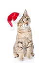 cat sitting in red christmas hat looking away. on white Royalty Free Stock Photo