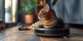 cat is sitting and riding on working robot vacuum cleaner on floor in room