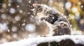 A cat sitting on a rock in the snow with its paws up, AI Royalty Free Stock Photo