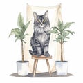 a cat is sitting on a stool next to two potted plants and a drapes in the back of the room behind it is a curtain