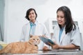 a cat sitting at a table is observed by a female doctor taking notes using a clipboard against a male veterinarian Royalty Free Stock Photo