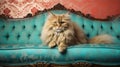 A cat sitting on top of a tan couch Royalty Free Stock Photo