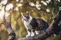 A cat is sitting on tree branch Royalty Free Stock Photo