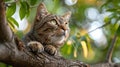 A cat sitting on a tree branch looking up at the sky, AI Royalty Free Stock Photo