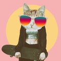 Cat with skateboard. Human with cat head with longboard. Modern collage