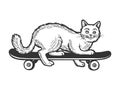 Cat on skateboard sketch engraving vector