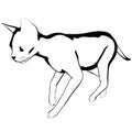 Cat sketch on a white background. Sphynx silhouette vector