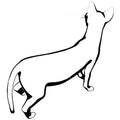Cat sketch on a white background. Sphynx silhouette vector