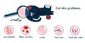 Cat skin problems.Infographics icons with different symptoms, allergy,itching and scabs.Feline healthcare.