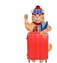 Cat with skis with a suitcase.